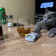 Ivan